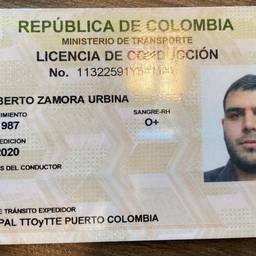 Colombian License Photo Swap
