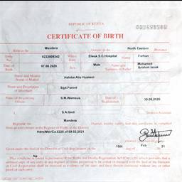 After - Birth Certificate Name Change