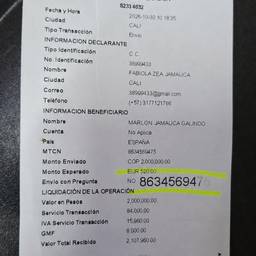 Money Transfer Receipt Edit