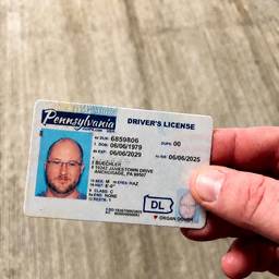 Bold Name on License