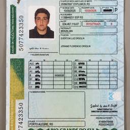Brazilian License Nationality Edit