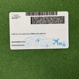 Pilot License Date Edit