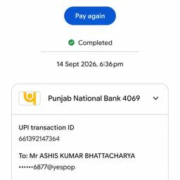 Edit UPI Payment Receipt