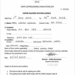 Clean Scanned Document