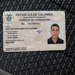 Colombian Driver's License Edit