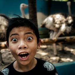 Cinematic Zoo Portrait