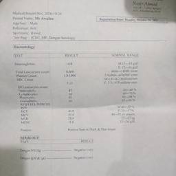 Medical Lab Report Edit