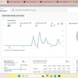 Vorher - Zahlen im Analyse-Dashboard bearbeiten
