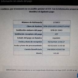 Payment Status Date Edit