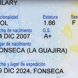 ID Card Birth Year Edit