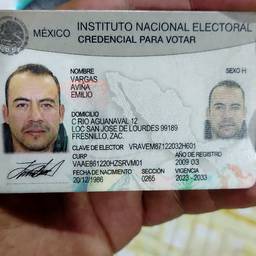 Depois - Edição de credencial de eleitor mexicana