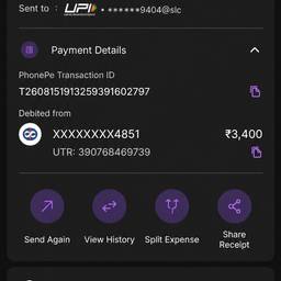 UPI Payment Date Edit