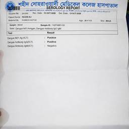 Dengue Report Result Edit
