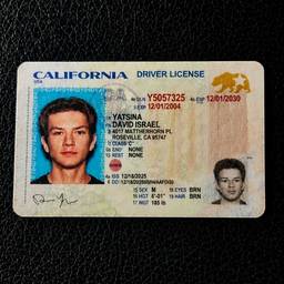Realistic California Driver's License