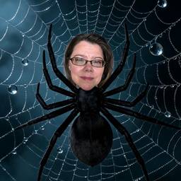 Spider Web Face Swap