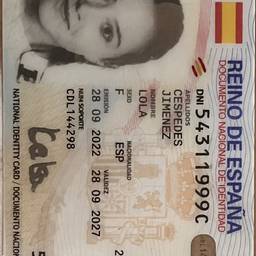 Spanish DNI Year Edit