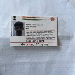 Aadhaar Card Year Edit