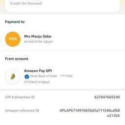Before - Amazon Pay UPI Screenshot Edit