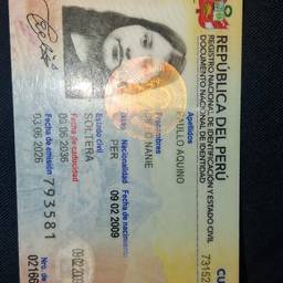 Después - Edición del año en la tarjeta de identificación