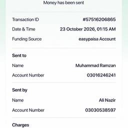 Payment Screenshot Timestamp Edit