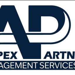 Before - Apex Logo Recolor