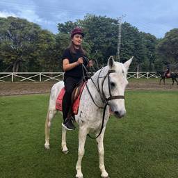 Depois - Troca de calçado a cavalo