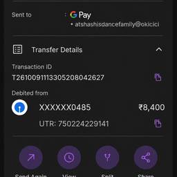 Payment Date Edit