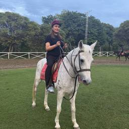 Antes - Edição de Calçado Equestre