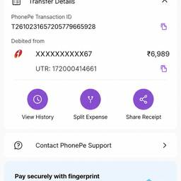 Daylight Payment Screenshot