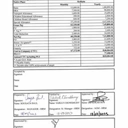 Payslip Salary Update