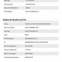 Pix Payment Receipt Edit