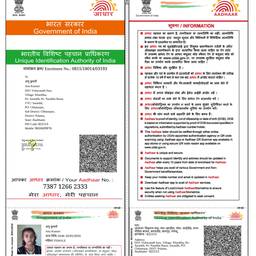 Antes - Editar fecha de nacimiento de la tarjeta Aadhaar en HD