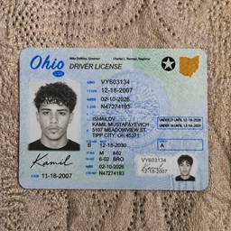 Driver's License Photo Swap