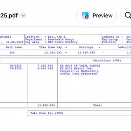 Before - Payslip Year Edit