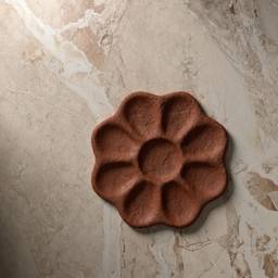 Clean Terracotta Palette Shot