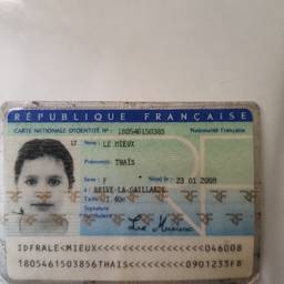 French ID Birth Year Edit