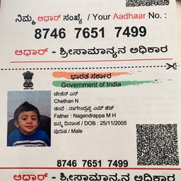 Aadhaar Birth Year Edit