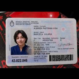ID Card Number Edit