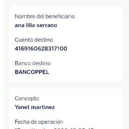 Before - Bank Receipt Date Edit