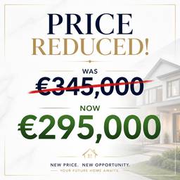 Real Estate Price Drop Ad