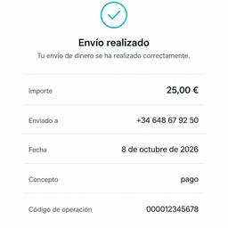 Bizum Payment Receipt