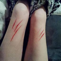 Cat Scratch Legs Edit