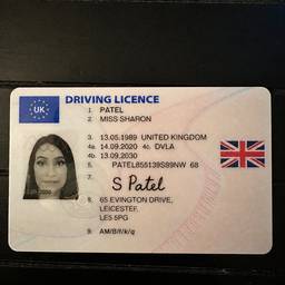 UK Driving Licence