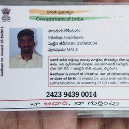 Aadhaar Birth Year Edit