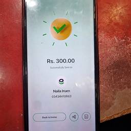 Payment Amount Edit
