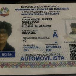 Mexican License Date Edit