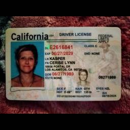 Vorher - Driver's License Photo Swap