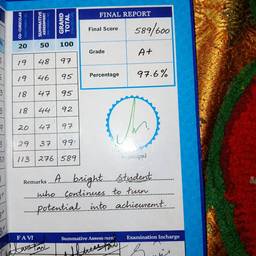 Report Card Marks Edit