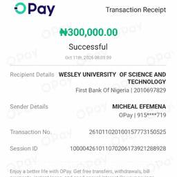 OPay Receipt Amount Edit