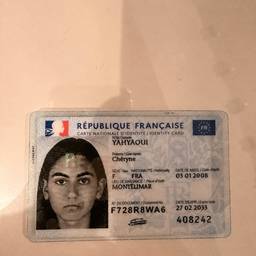 French ID Card DOB Edit